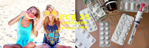 круглые Осинники
