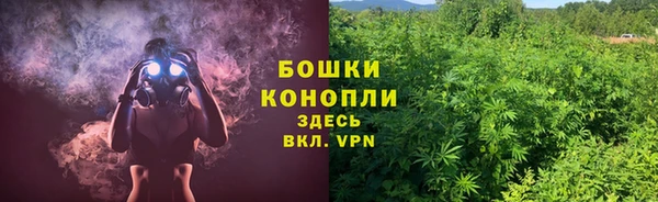 spice Нязепетровск