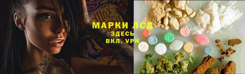 Лсд 25 экстази ecstasy  купить наркоту  Моздок 