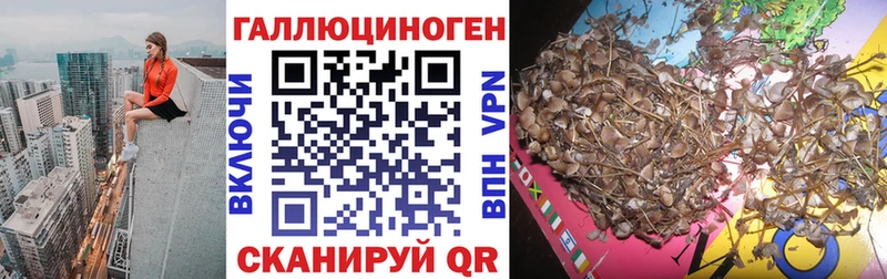 Псилоцибиновые грибы Psilocybine cubensis  купить закладку  Моздок 
